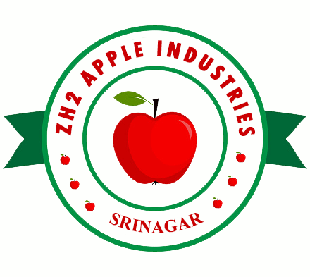 Logo_ZH2